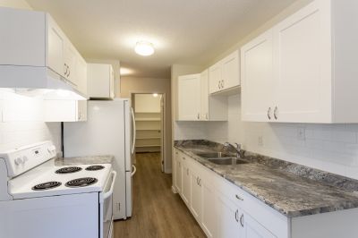 Countertop Renovation